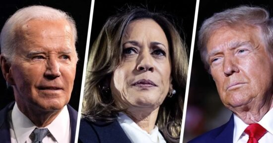 What the 2024 polls got right — and what they got wrong