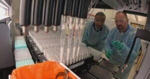 Scientists warn what future bird flu mutations could mean for people | 60 Minutes