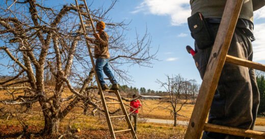 Helene-hit farmers are still scrounging for recovery funds six months on