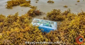 Packages of cocaine wash up on Texas beach after ship is raided, officials say