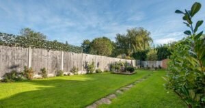Transform your garden lawn cheaply by doing ‘four basic things’