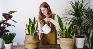 Gardener’s tip to prevent key mistake when watering your plants
