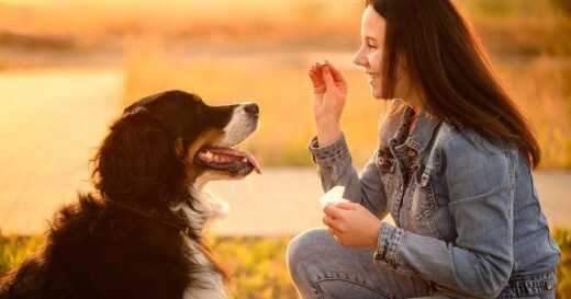 ‘I’m a dog nutritionist – unlikely food source is perfect your pet’