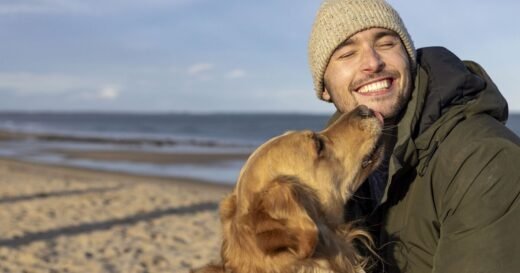 Dog behaviourist names 5 of the most lovable breeds | Nature | News