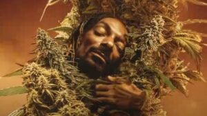 Snoop Dogg Drops ‘Last Dance With Mary Jane’ Video: Watch