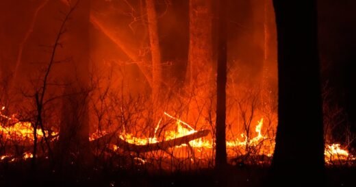 New Jersey wildfire only 10% contained in Ocean County, as thousands forced to evacuate