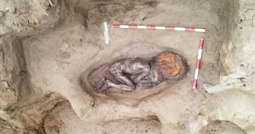 Remains of “elite woman” who died 5,000 years ago discovered at site of former garbage dump in Peru