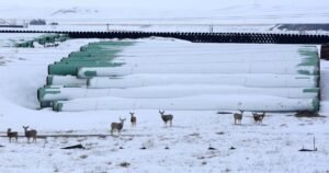Keystone oil pipeline shut down after “mechanical bang” reported