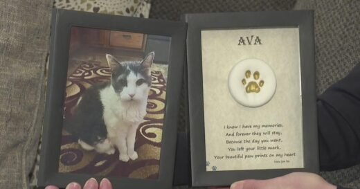 Funeral director threw out thousands of pets’ bodies and gave owners different ashes, Pennsylvania prosecutors say