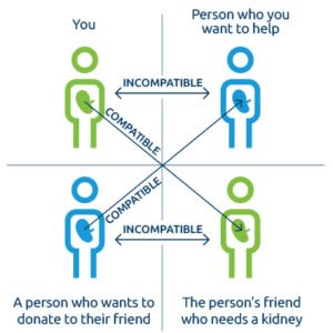 Living donation patient brochure – OPTN