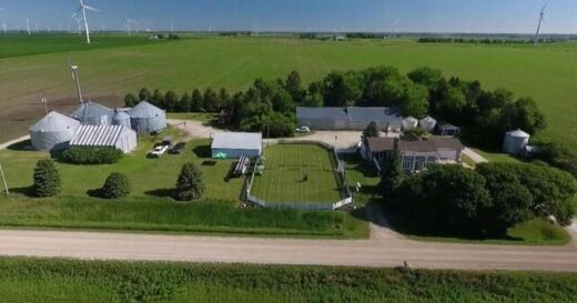 The Uplift: Field of dreams