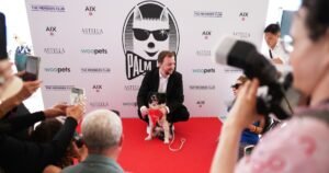 No scenery was chewed — Icelandic sheepdog awarded with ‘Palm Dog’ in Cannes