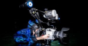 This wildlife filmmaker documents the unseen beauty of freshwater ecosystems