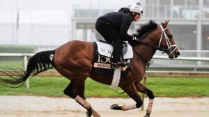 Journalism wins 150th Preakness Stakes in thrilling race