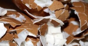 Mixing eggshells with 1 ingredient makes them ‘great for gardens’