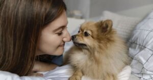 Vet says dogs are trying to do one thing when they nuzzle you