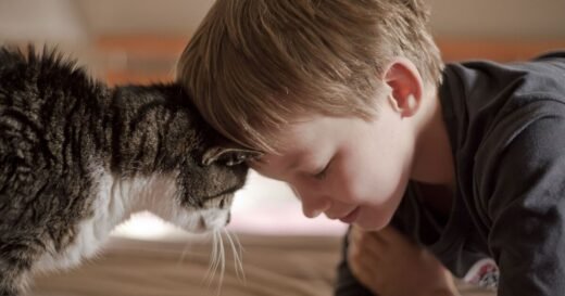 Cat expert pinpoints real reason cats headbutt you