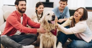 ‘I’m a dog expert – this cute gesture means your pet feels like family’