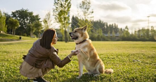 Dog trainer’s method to calm excitable pet without words