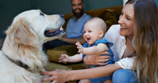 Families with young children warned to avoid 3 popular dog breeds