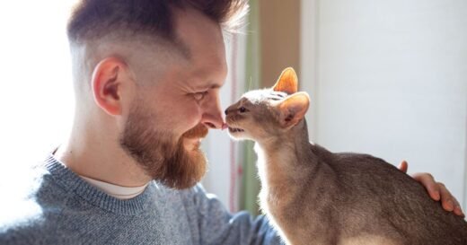 Cat expert says there’s a sweet reason your pet licks you