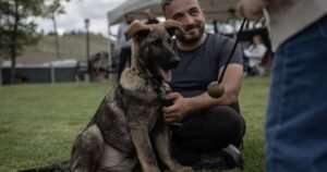 ‘I’m a dog trainer — follow these simple 5 steps to stop your pet misbehaving’