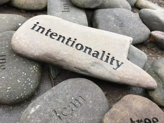 The Power of Reflection in Career Planning (opinion)