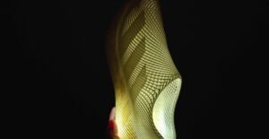 Adidas’ 3D-printed sneaker review: What are those!?