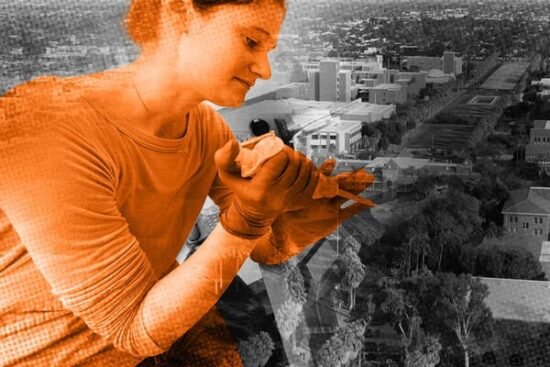 Can Scientific Research Survive Without Federal Funding?