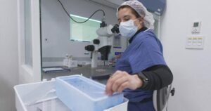 The high cost of egg freezing