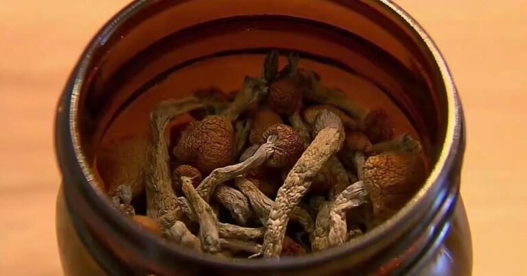 UC San Francisco’s psilocybin therapy shows promise for Parkinson’s patients