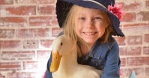 Mothering a duck – CBS News