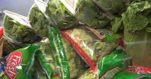 E. coli outbreak linked to romaine from Salinas, California