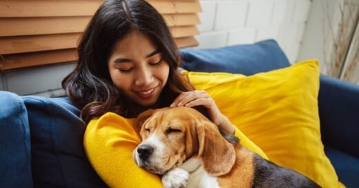 Dog owners urged against making sad mistake when going on holiday