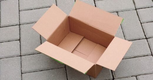 Gardening expert shares reason you should always save cardboard boxes