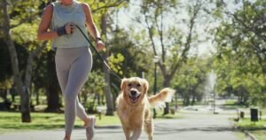 Expert’s ‘7 second rule’ to check it’s safe to walk your dog in summer
