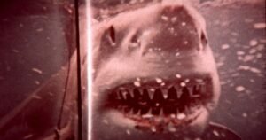 Five reasons no one thought Jaws would break cinematic records | Films | Entertainment
