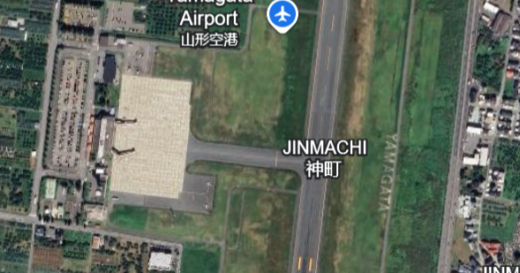 Bear on runway forces airport in Japan to cancel flights: “We’re in a stalemate”