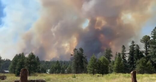 Historic Grand Canyon Lodge destroyed as massive wildfires burn