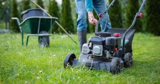Woman quoted £200 to cut her lawn gets surprise of her life