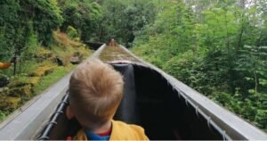 ‘We visited hidden gem theme park half the price of Alton Towers’