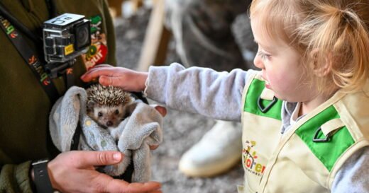 Toddlers take on dream roles in unique work experience sessions across the UK