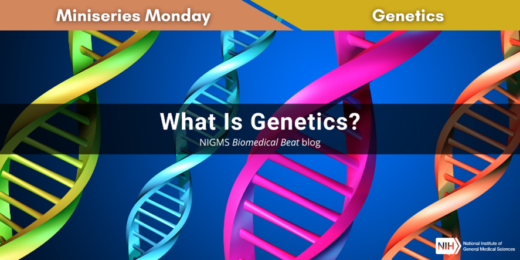 What Is Genetics?