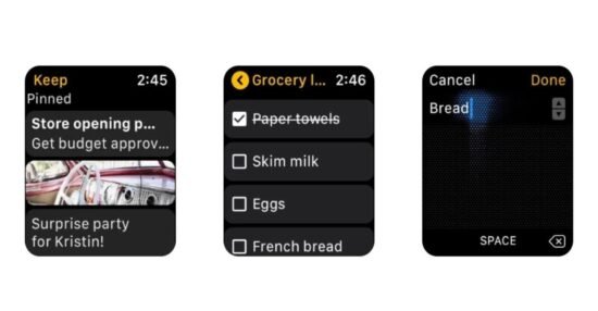 Google kills its Keep app on Apple Watch