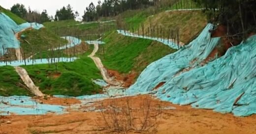 China pays high environmental price for rare earth minerals dominance