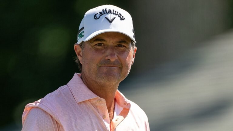 The Open: Broadcasters Dan Hicks, Kevin Kisner freak out as bat flies in booth