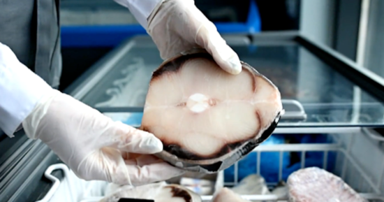 Some shark meat sold in U.S. came from critically endangered species, study finds