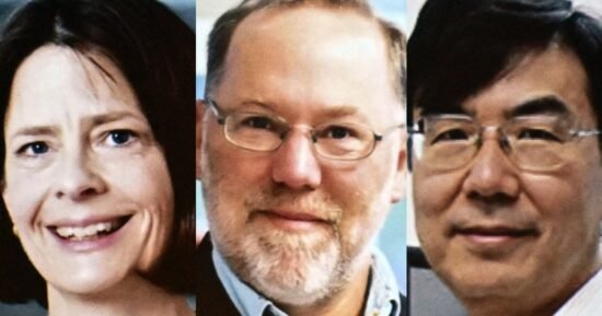 Americans win Nobel prize in medicine for work on human immune system