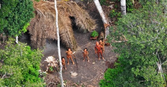 Why the survival of uncontacted Indigenous peoples is under growing threat