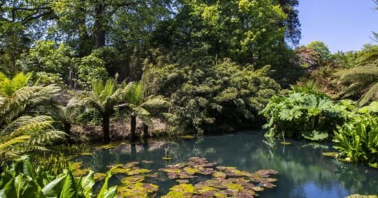 ‘Hidden gem’ gardens in ‘beautiful Cornish countryside’ look ‘lovely’